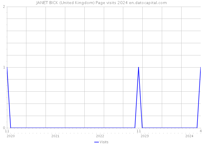 JANET BICK (United Kingdom) Page visits 2024 