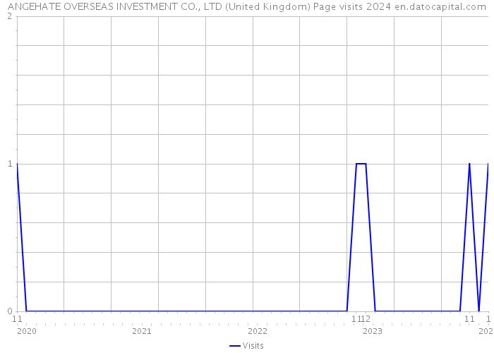 ANGEHATE OVERSEAS INVESTMENT CO., LTD (United Kingdom) Page visits 2024 
