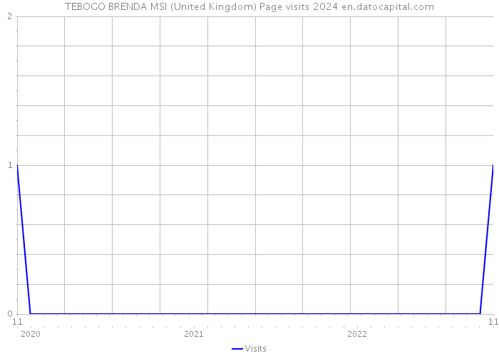 TEBOGO BRENDA MSI (United Kingdom) Page visits 2024 