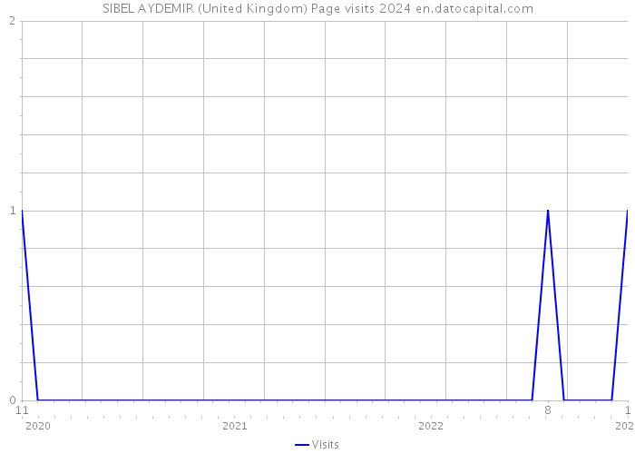 SIBEL AYDEMIR (United Kingdom) Page visits 2024 