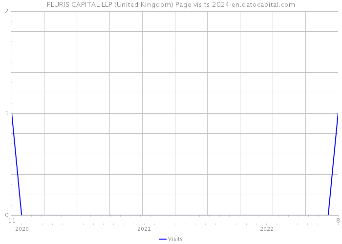 PLURIS CAPITAL LLP (United Kingdom) Page visits 2024 
