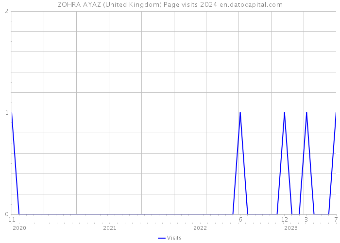 ZOHRA AYAZ (United Kingdom) Page visits 2024 