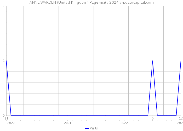 ANNE WARDEN (United Kingdom) Page visits 2024 