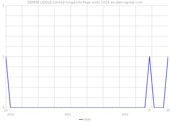 DENISE LIDDLE (United Kingdom) Page visits 2024 