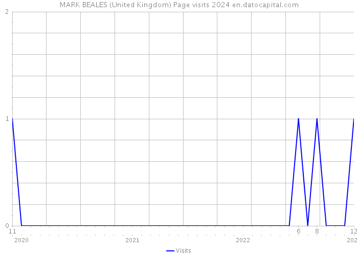 MARK BEALES (United Kingdom) Page visits 2024 