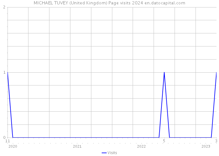 MICHAEL TUVEY (United Kingdom) Page visits 2024 