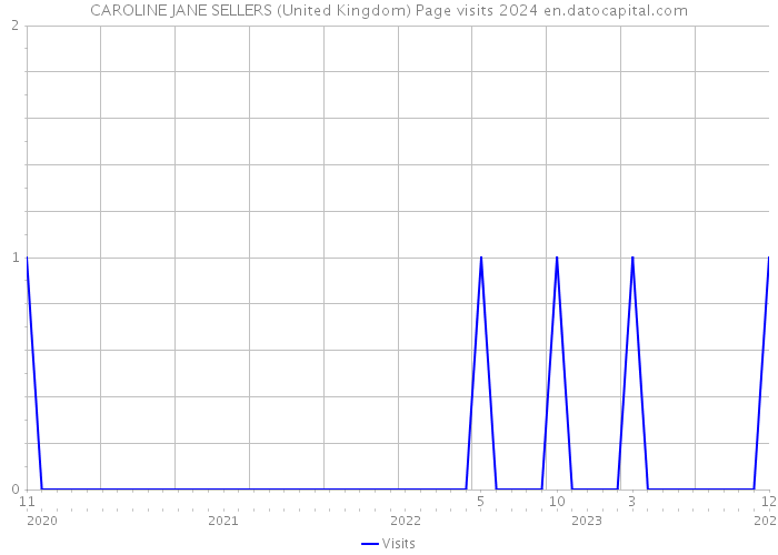 CAROLINE JANE SELLERS (United Kingdom) Page visits 2024 