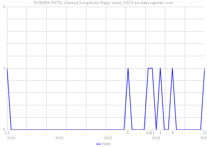 PUSHPA PATIL (United Kingdom) Page visits 2024 