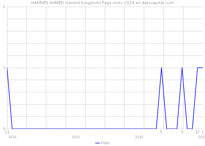 HARRIES AHMED (United Kingdom) Page visits 2024 