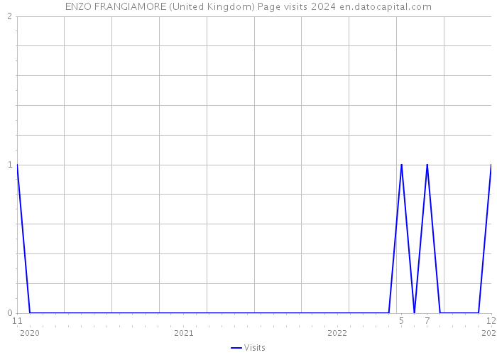 ENZO FRANGIAMORE (United Kingdom) Page visits 2024 