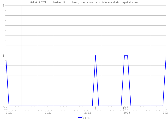 SAFA AYYUB (United Kingdom) Page visits 2024 