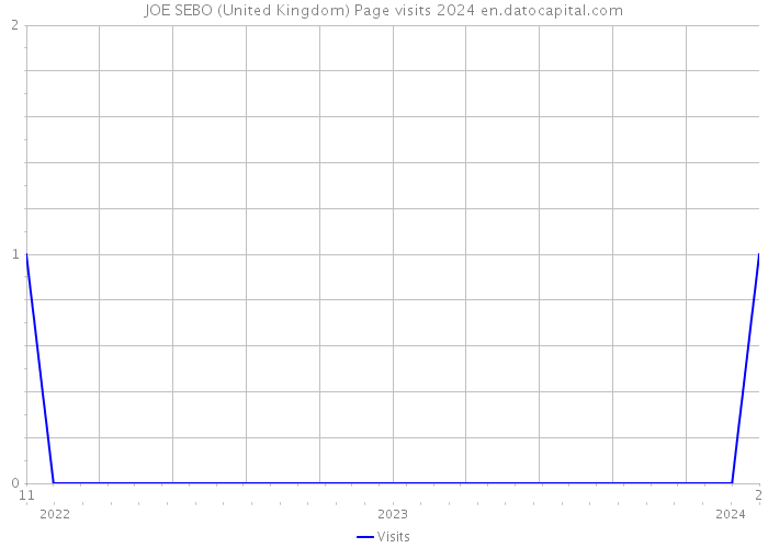 JOE SEBO (United Kingdom) Page visits 2024 