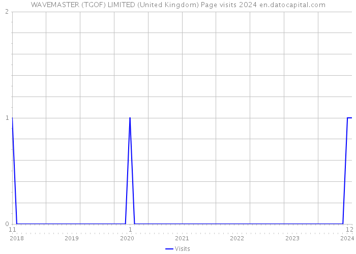 WAVEMASTER (TGOF) LIMITED (United Kingdom) Page visits 2024 