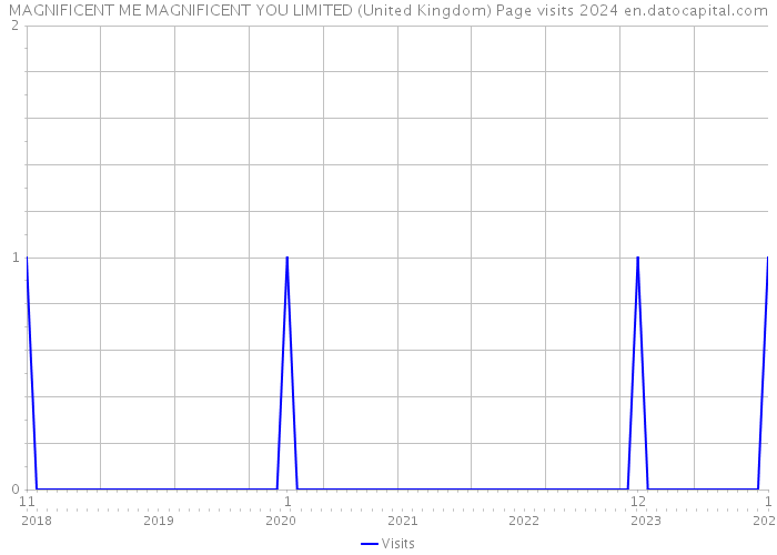 MAGNIFICENT ME MAGNIFICENT YOU LIMITED (United Kingdom) Page visits 2024 