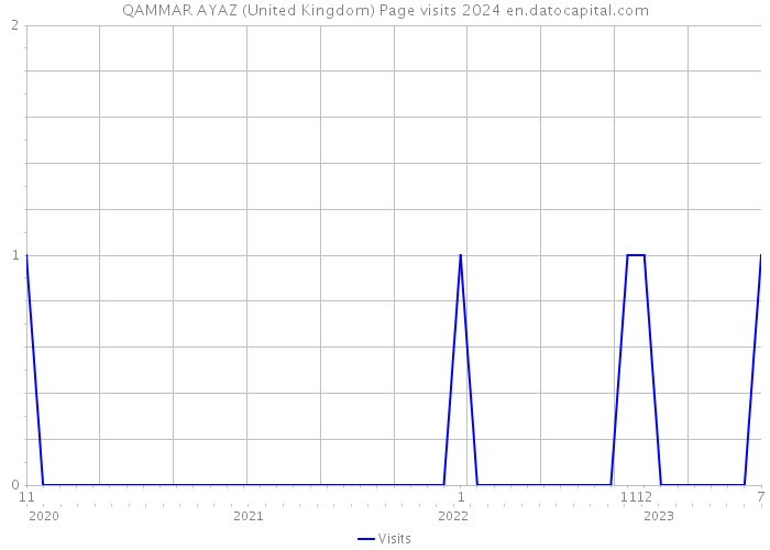 QAMMAR AYAZ (United Kingdom) Page visits 2024 
