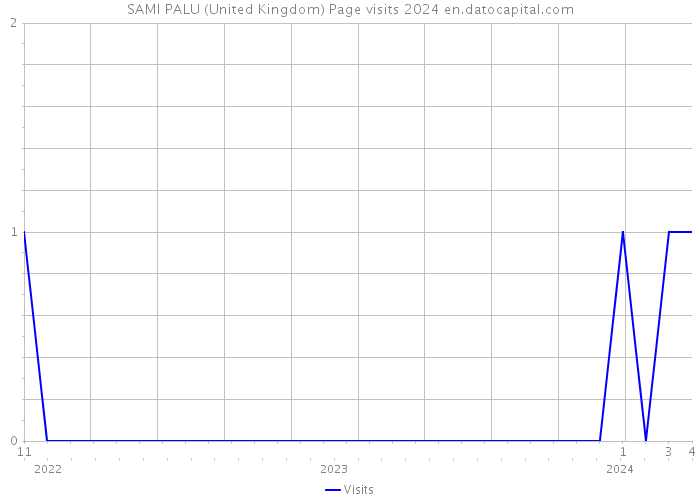 SAMI PALU (United Kingdom) Page visits 2024 