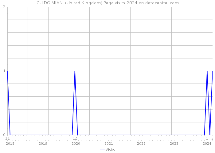 GUIDO MIANI (United Kingdom) Page visits 2024 