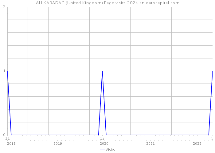 ALI KARADAG (United Kingdom) Page visits 2024 