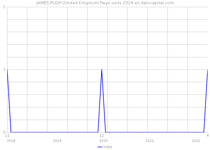 JAMES PUGH (United Kingdom) Page visits 2024 