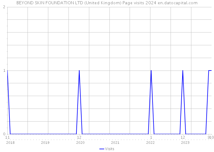 BEYOND SKIN FOUNDATION LTD (United Kingdom) Page visits 2024 