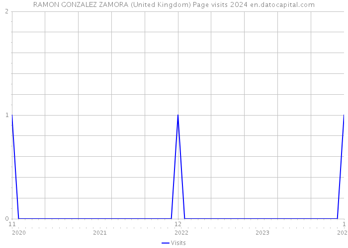 RAMON GONZALEZ ZAMORA (United Kingdom) Page visits 2024 