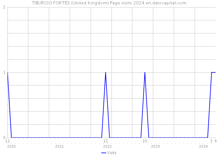 TIBURCIO FORTES (United Kingdom) Page visits 2024 