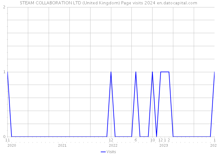 STEAM COLLABORATION LTD (United Kingdom) Page visits 2024 