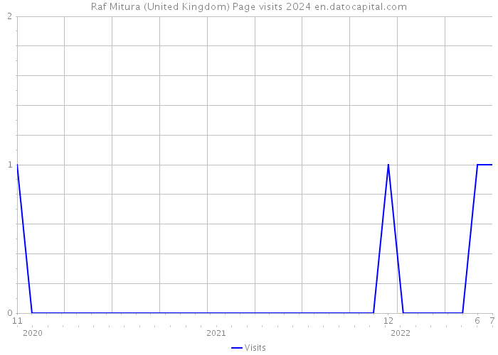 Raf Mitura (United Kingdom) Page visits 2024 