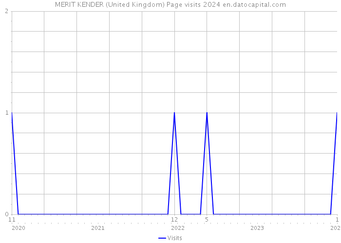 MERIT KENDER (United Kingdom) Page visits 2024 