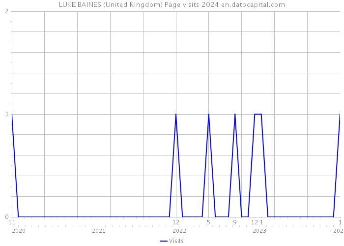 LUKE BAINES (United Kingdom) Page visits 2024 