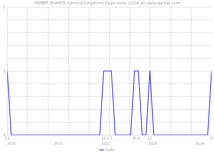 AMBER SHAMSI (United Kingdom) Page visits 2024 