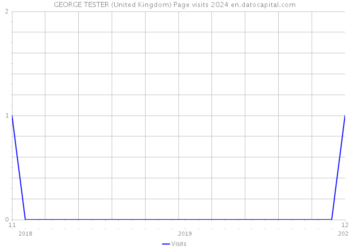 GEORGE TESTER (United Kingdom) Page visits 2024 
