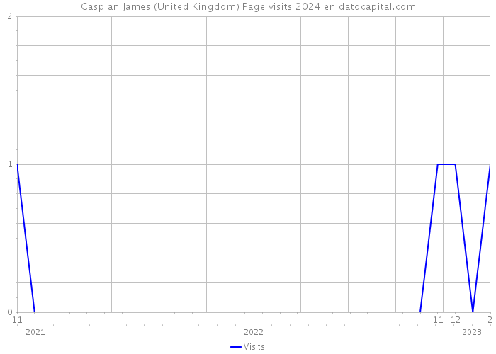 Caspian James (United Kingdom) Page visits 2024 