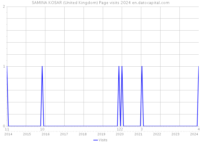 SAMINA KOSAR (United Kingdom) Page visits 2024 