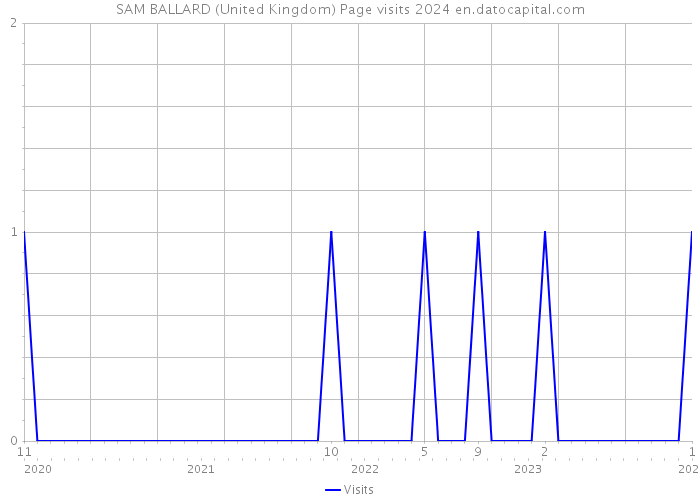 SAM BALLARD (United Kingdom) Page visits 2024 