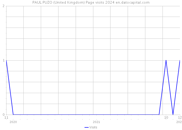 PAUL PUZO (United Kingdom) Page visits 2024 