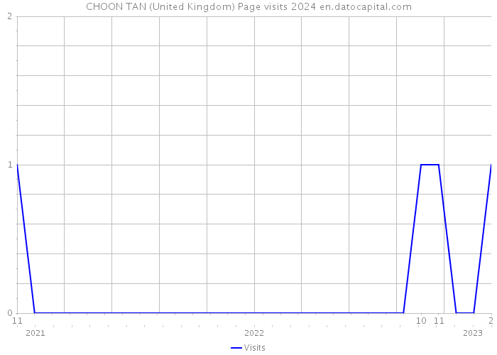 CHOON TAN (United Kingdom) Page visits 2024 