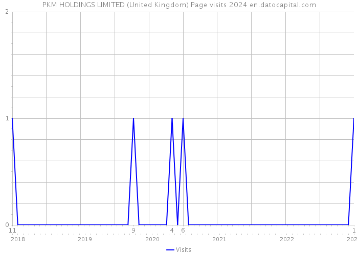 PKM HOLDINGS LIMITED (United Kingdom) Page visits 2024 