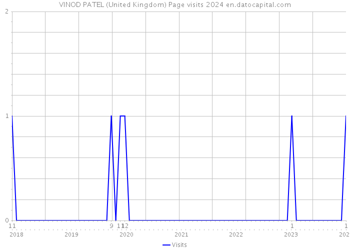 VINOD PATEL (United Kingdom) Page visits 2024 