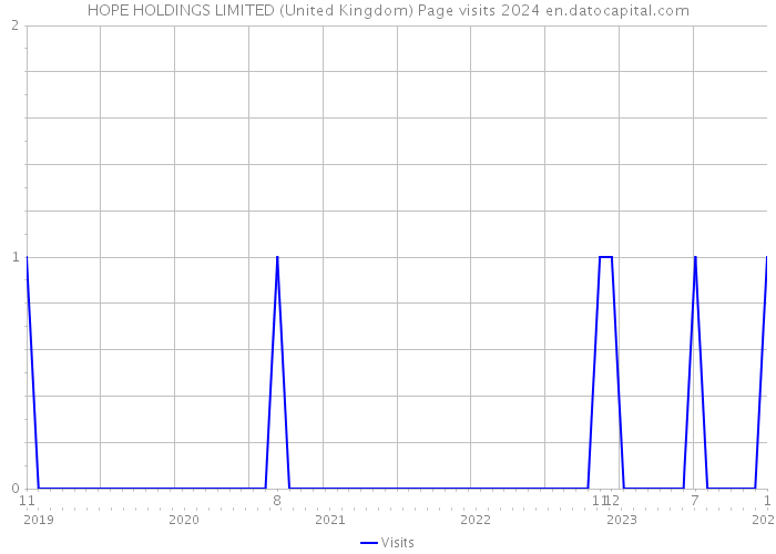 HOPE HOLDINGS LIMITED (United Kingdom) Page visits 2024 
