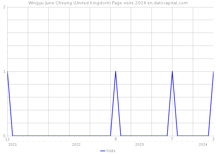 Wingyu June Cheung (United Kingdom) Page visits 2024 