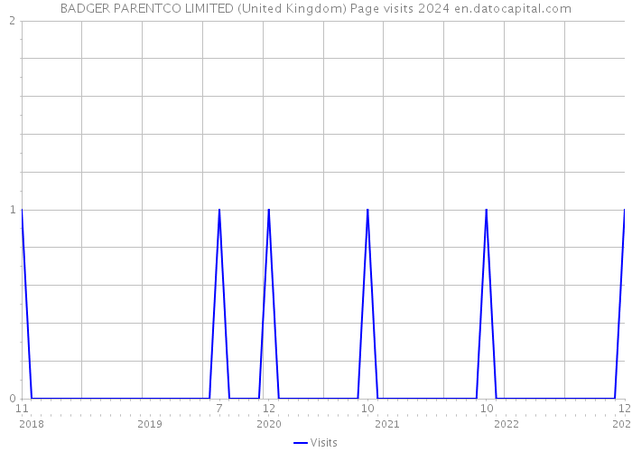 BADGER PARENTCO LIMITED (United Kingdom) Page visits 2024 