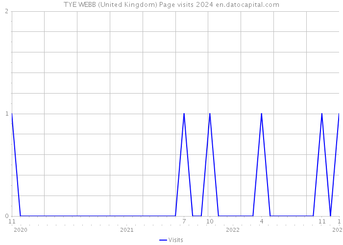 TYE WEBB (United Kingdom) Page visits 2024 