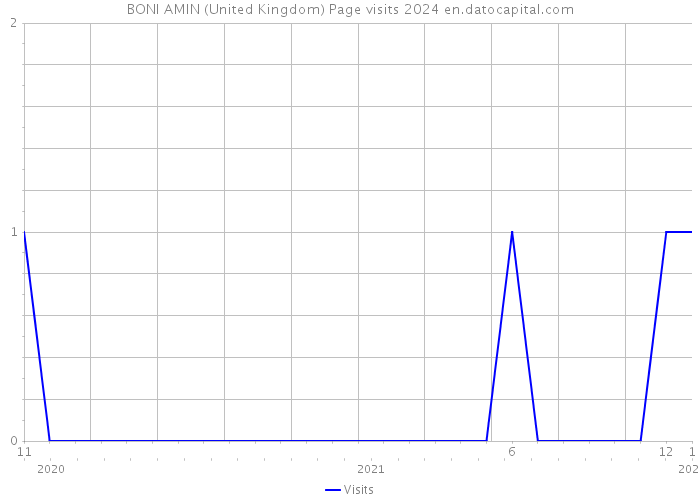 BONI AMIN (United Kingdom) Page visits 2024 