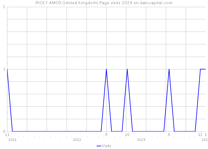 RICKY AMOS (United Kingdom) Page visits 2024 