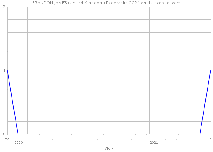 BRANDON JAMES (United Kingdom) Page visits 2024 