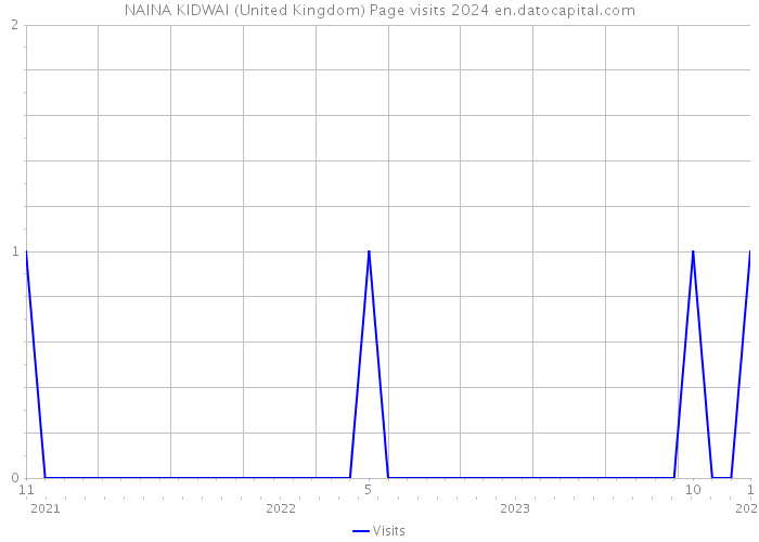 NAINA KIDWAI (United Kingdom) Page visits 2024 