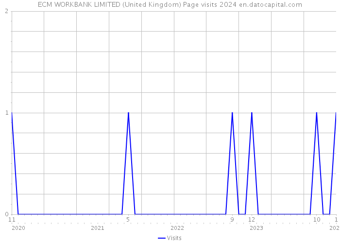 ECM WORKBANK LIMITED (United Kingdom) Page visits 2024 