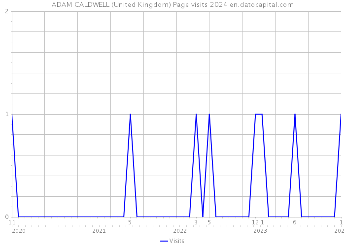 ADAM CALDWELL (United Kingdom) Page visits 2024 