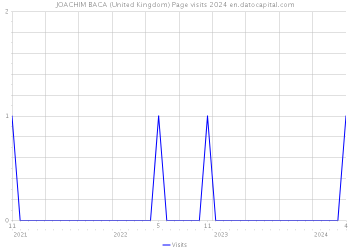 JOACHIM BACA (United Kingdom) Page visits 2024 